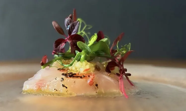 山梨の恵み×イタリア料理